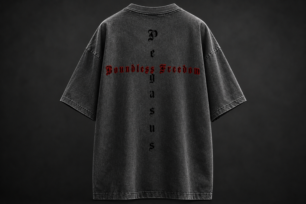 Pegasus Oversized Shirt